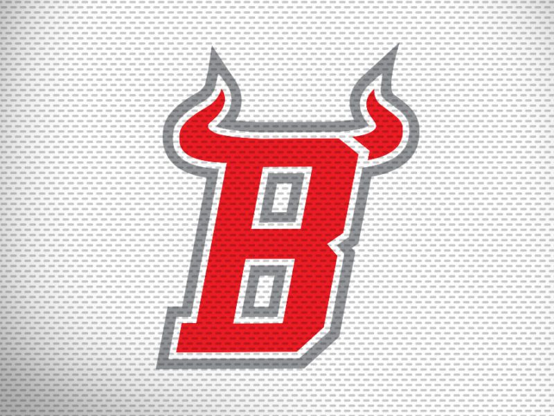 Butler County Bulls Logo - Doug Buseman Designs