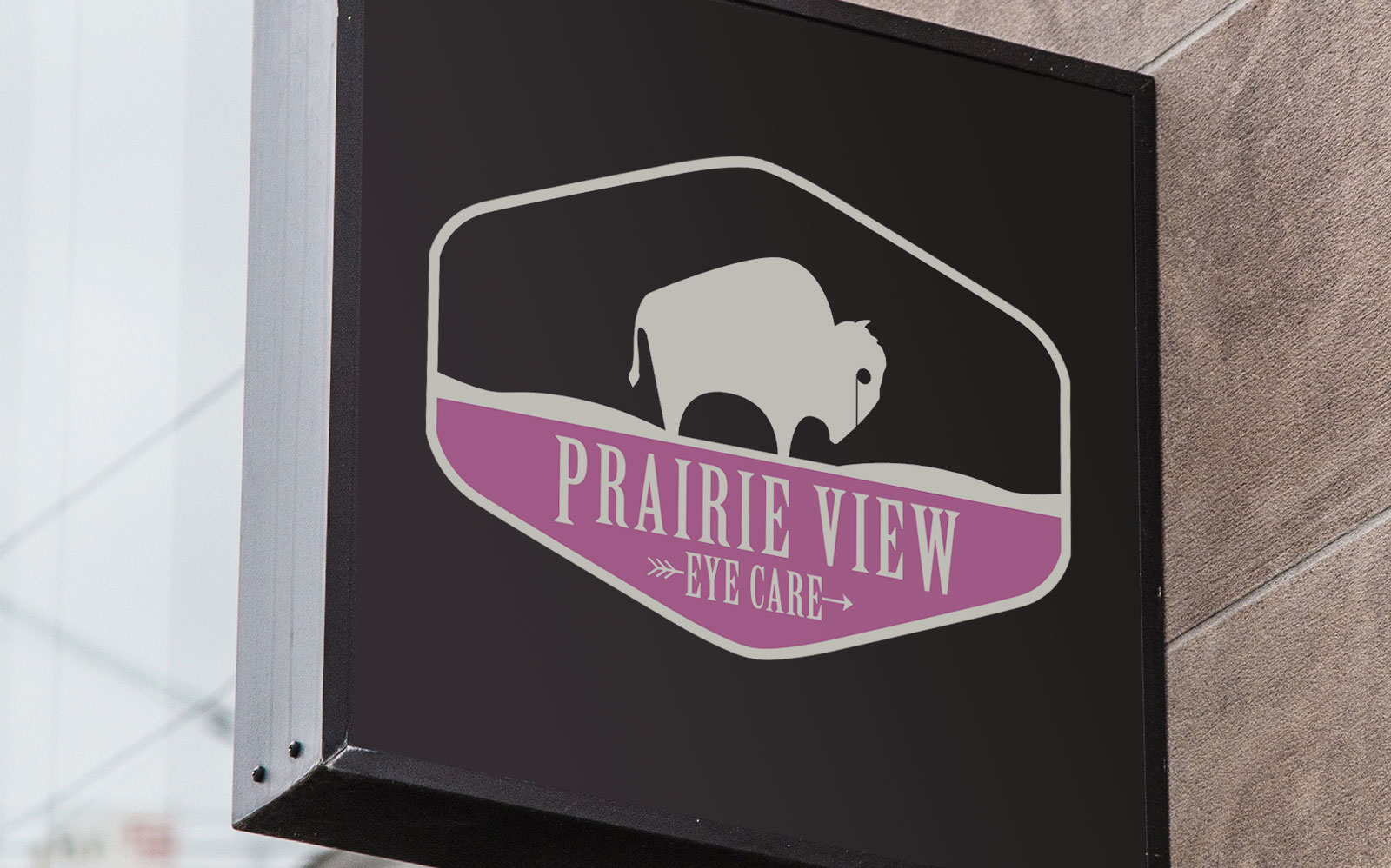 Prairie View Eye Care Logo - Doug Buseman Designs